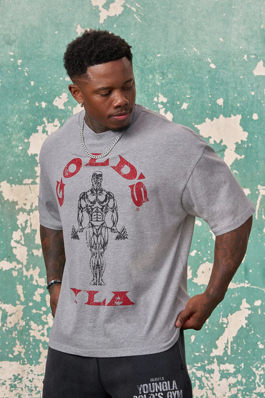 4213 - Gold's Iron Legacy Icon Tees Heather Grey YoungLa